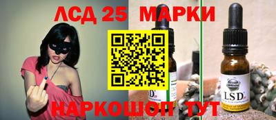 амф Сланцы