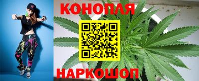 амф Сланцы