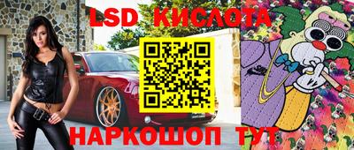 амф Сланцы