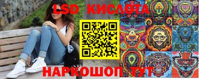 амф Сланцы