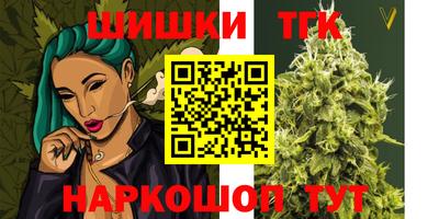 амф Сланцы