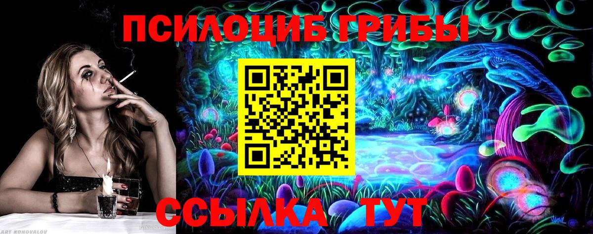 Псилоцибиновые грибы Cubensis  Вход с VPN  как найти   Нарткала 