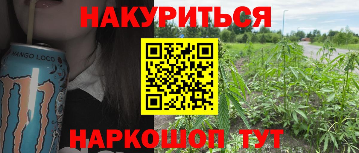 Нарткала  Бошки Шишки SATIVA & INDICA  Канабис сатива  Бошки марихуана гибрид  Вход с VPN 